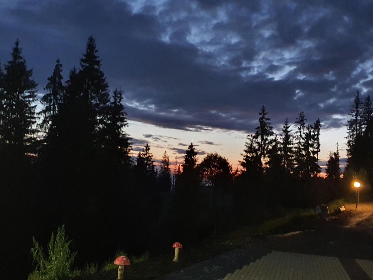 Casa Sofia Bucovina Hotell Ciumirna Eksteriør bilde