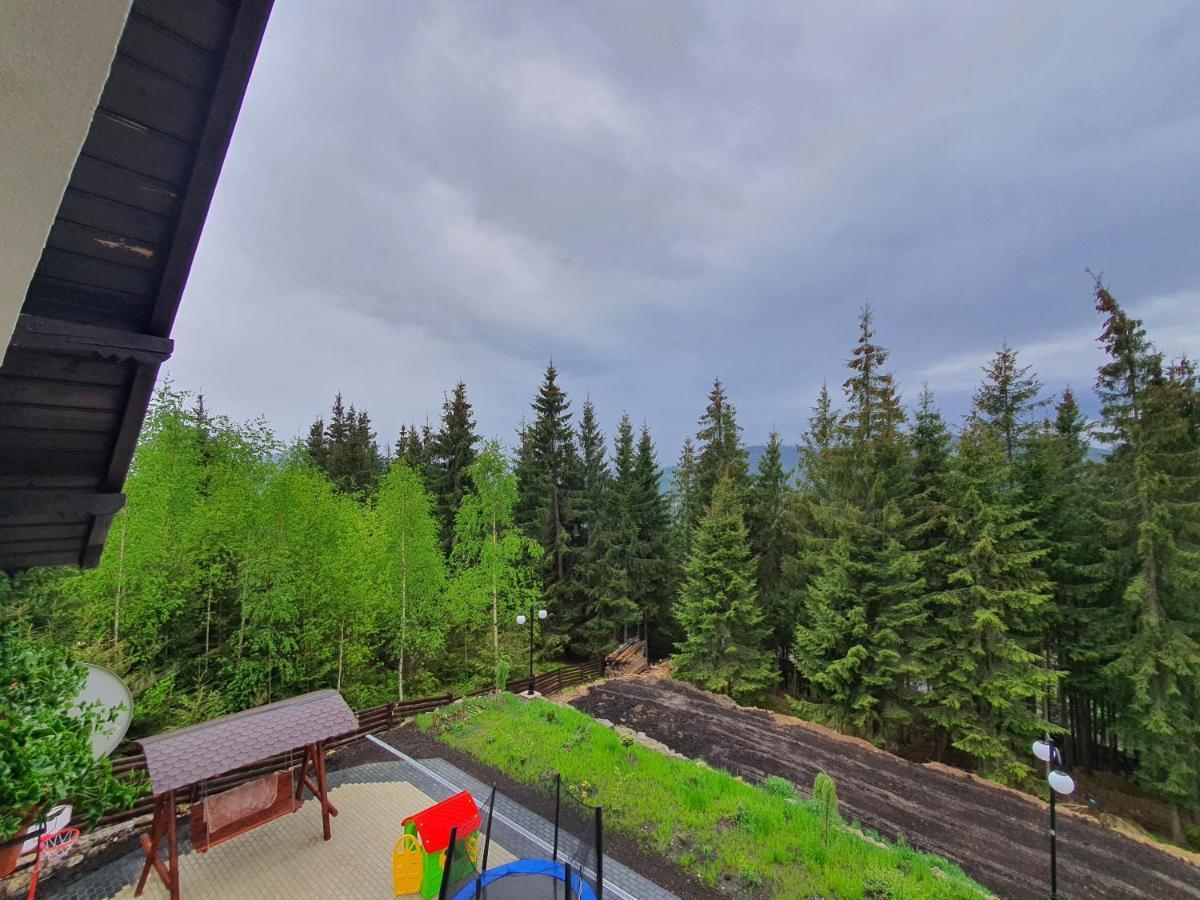 Casa Sofia Bucovina Hotell Ciumirna Eksteriør bilde