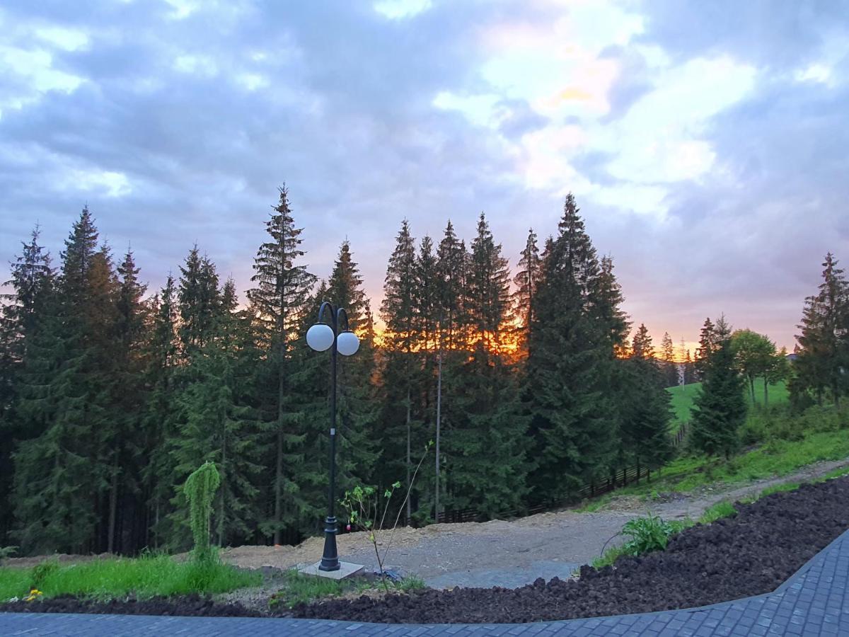 Casa Sofia Bucovina Hotell Ciumirna Eksteriør bilde