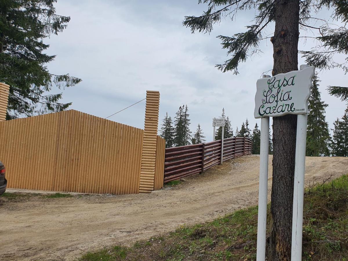 Casa Sofia Bucovina Hotell Ciumirna Eksteriør bilde